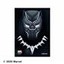 Marvel Champions Art Sleeves - Black Panther